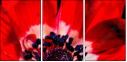 64202605