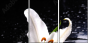 64347544