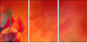 67251094