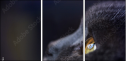 67261784