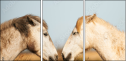 68105257
