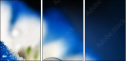 68169392