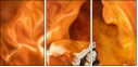 68781470