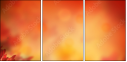 68917017
