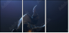 68921322