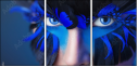 69641172