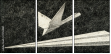 70764881
