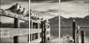 72072664