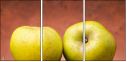 72103606