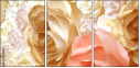 72588674