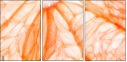 74688264