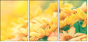 75458724