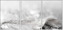 75689108