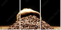 75743507