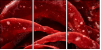75798905