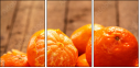 76269505
