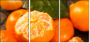 76269627