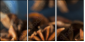 78130865