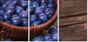 79175349