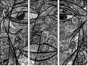 229082617