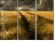 27477176