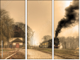 29517510