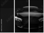 38999588