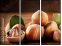 41588665