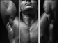 45026445