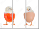 48856718