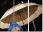 49306047