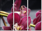 49633319