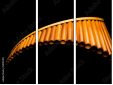 50197019
