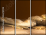 52670728