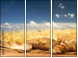 52793015