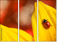 55820987