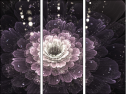 57185040