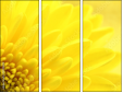 57915870