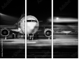 59420364