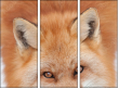 62758452