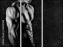 63490164