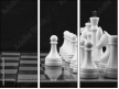 64265045