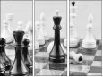 64265081
