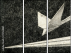 70764881