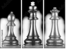 71260349