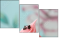 12612957