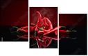 128050232