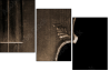 13267371