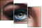 138254237