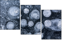 140346351